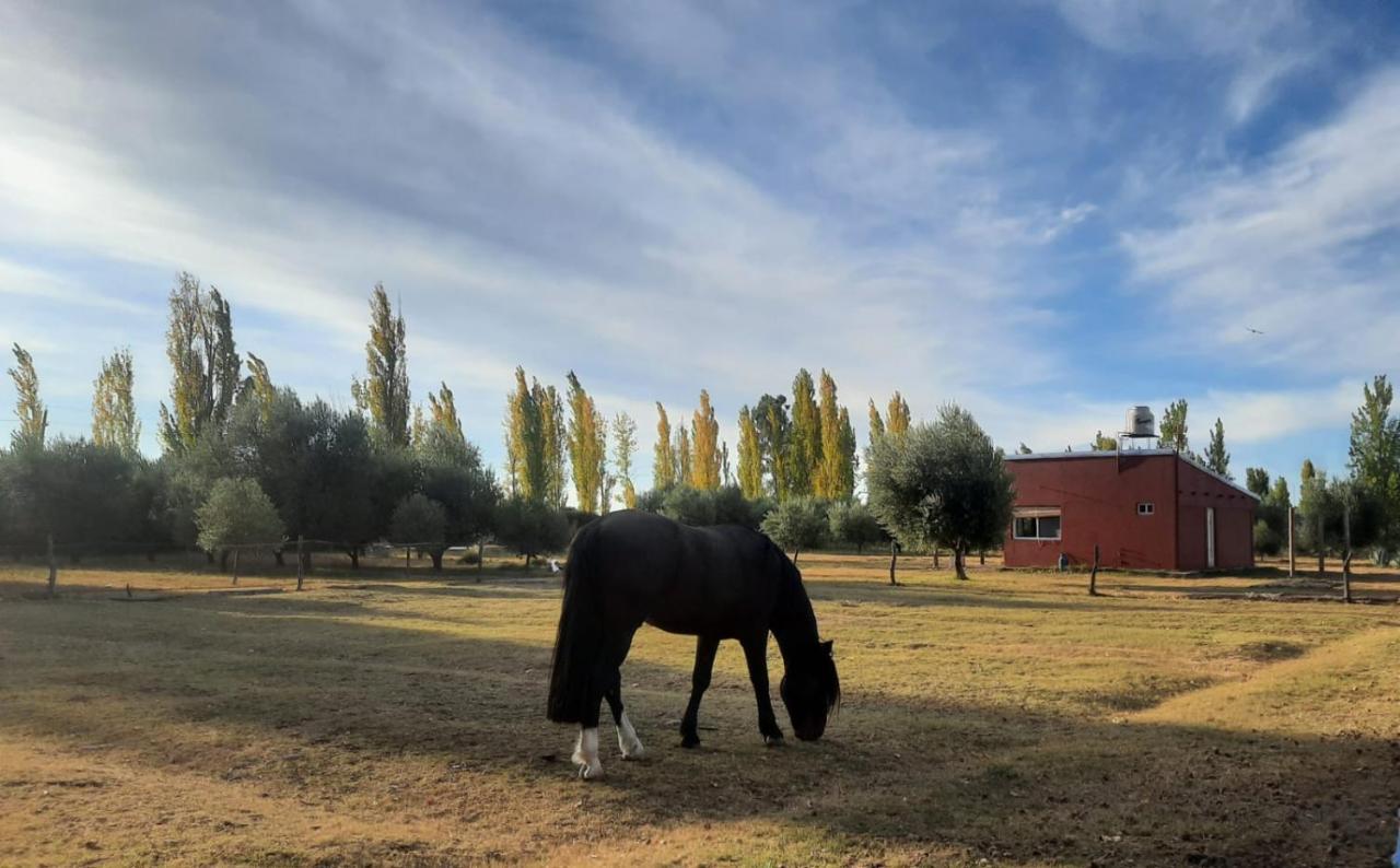Finca La Calma San Rafael  Εξωτερικό φωτογραφία