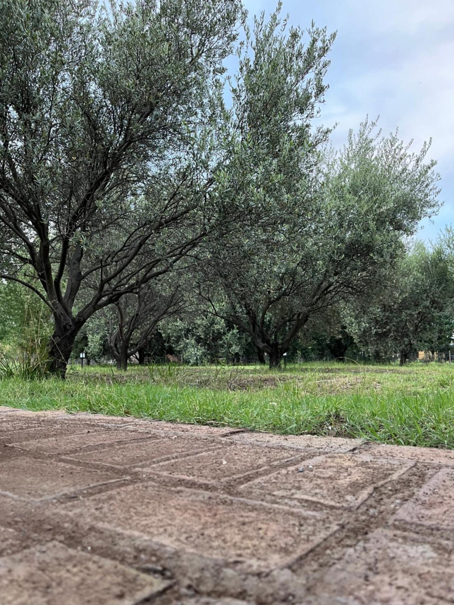 Finca La Calma San Rafael  Εξωτερικό φωτογραφία